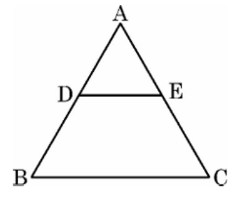 figure for this question